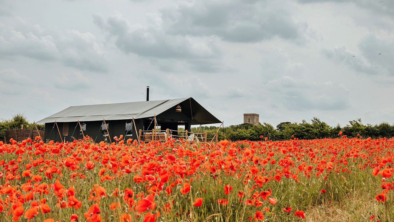 Photo of Others in Little Walsingham