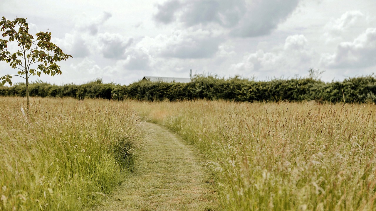 Photo of Others in Little Walsingham