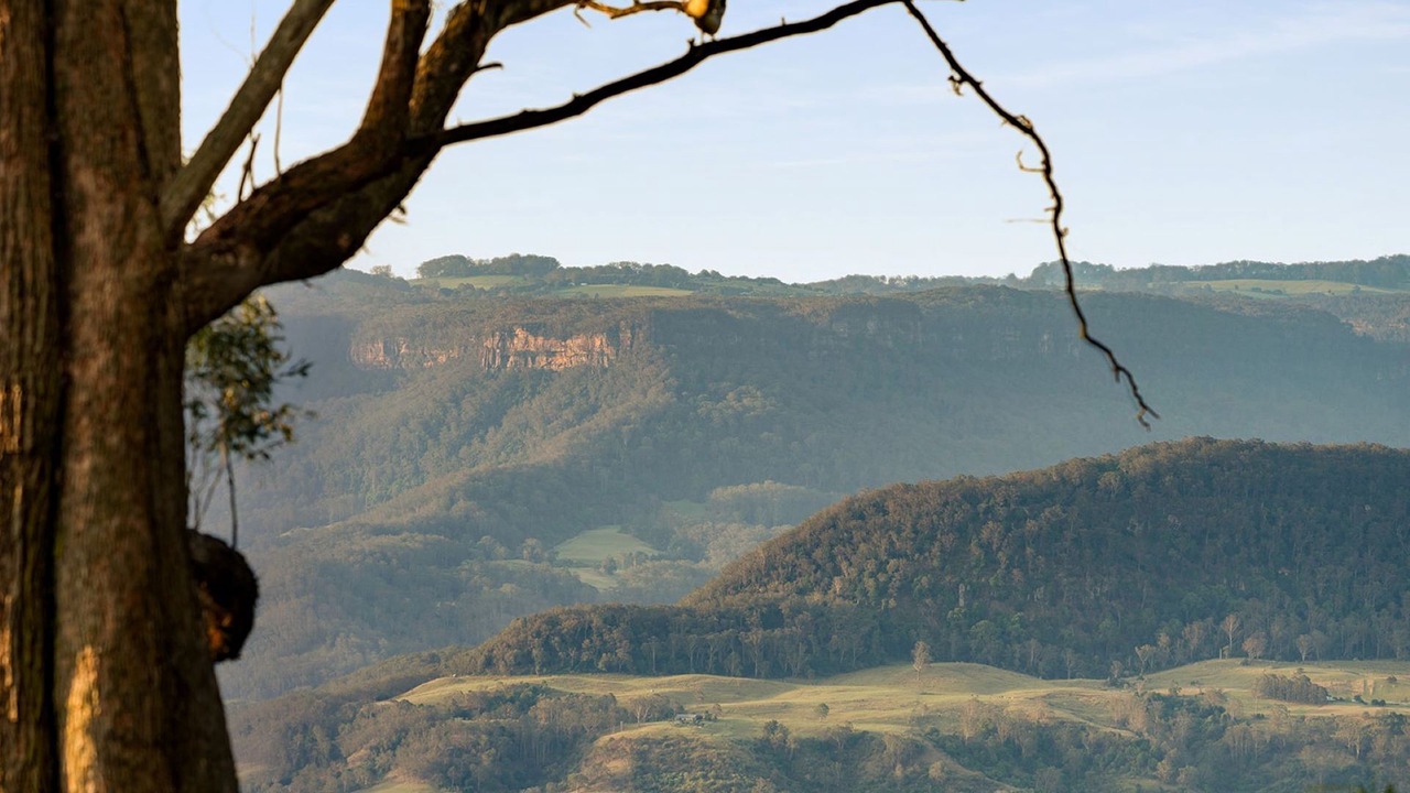 Photo of Others in Beaumont