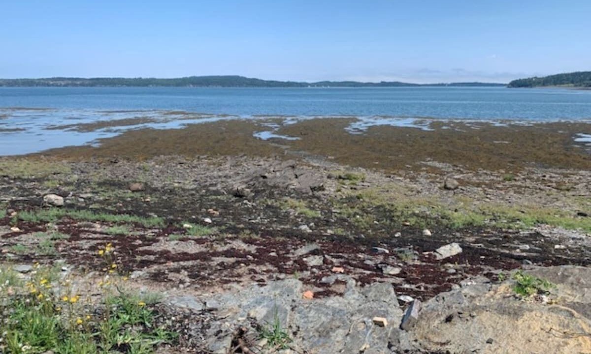 Photo of Others in Eastport