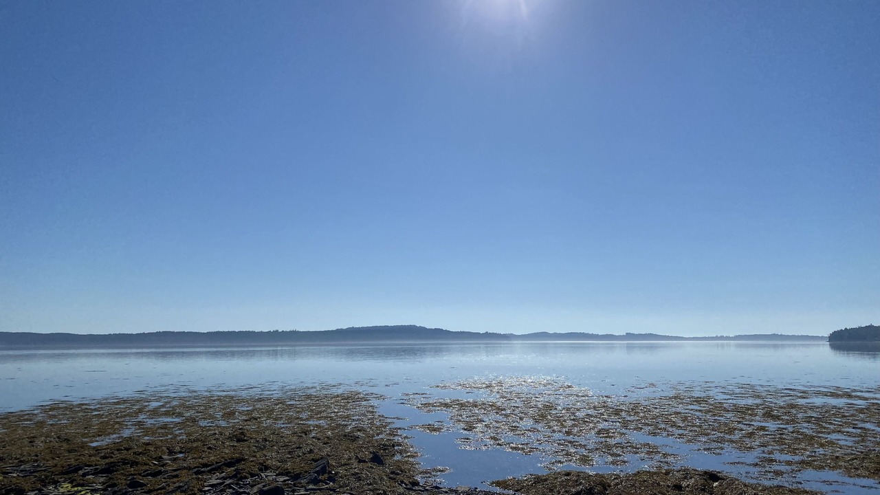 Photo of Others in Eastport