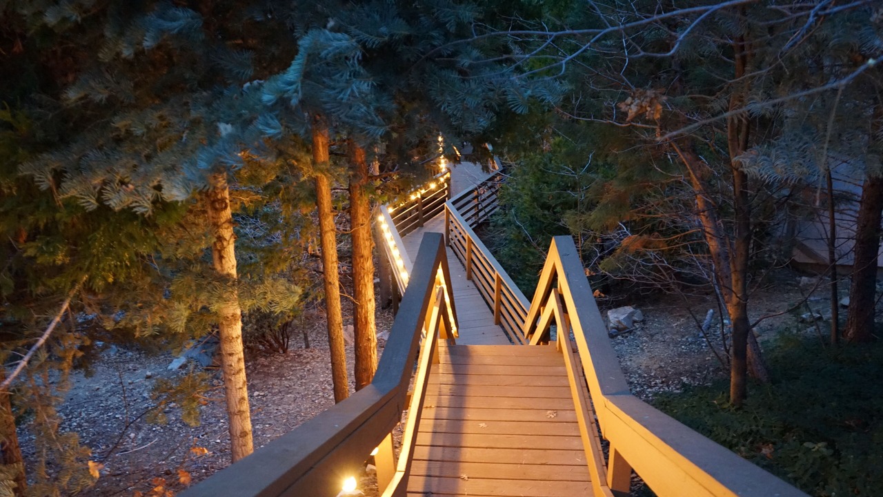 Photo of Outdoor in Lake Arrowhead