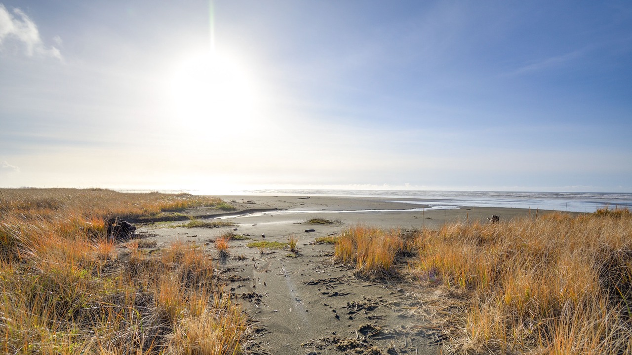 Photo of Others in Moclips