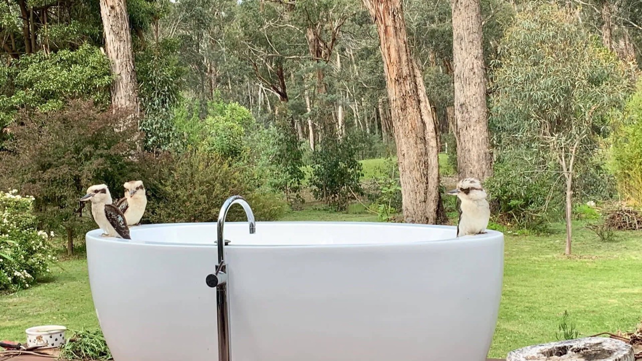 Photo of Bathroom in Wheatsheaf