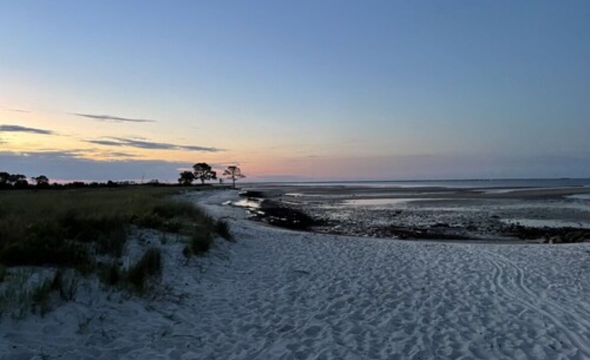 Photo of Others in Panacea