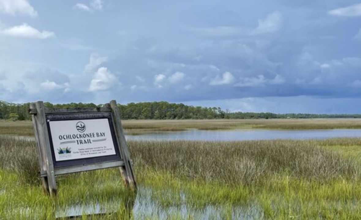 Photo of Outdoor in Panacea