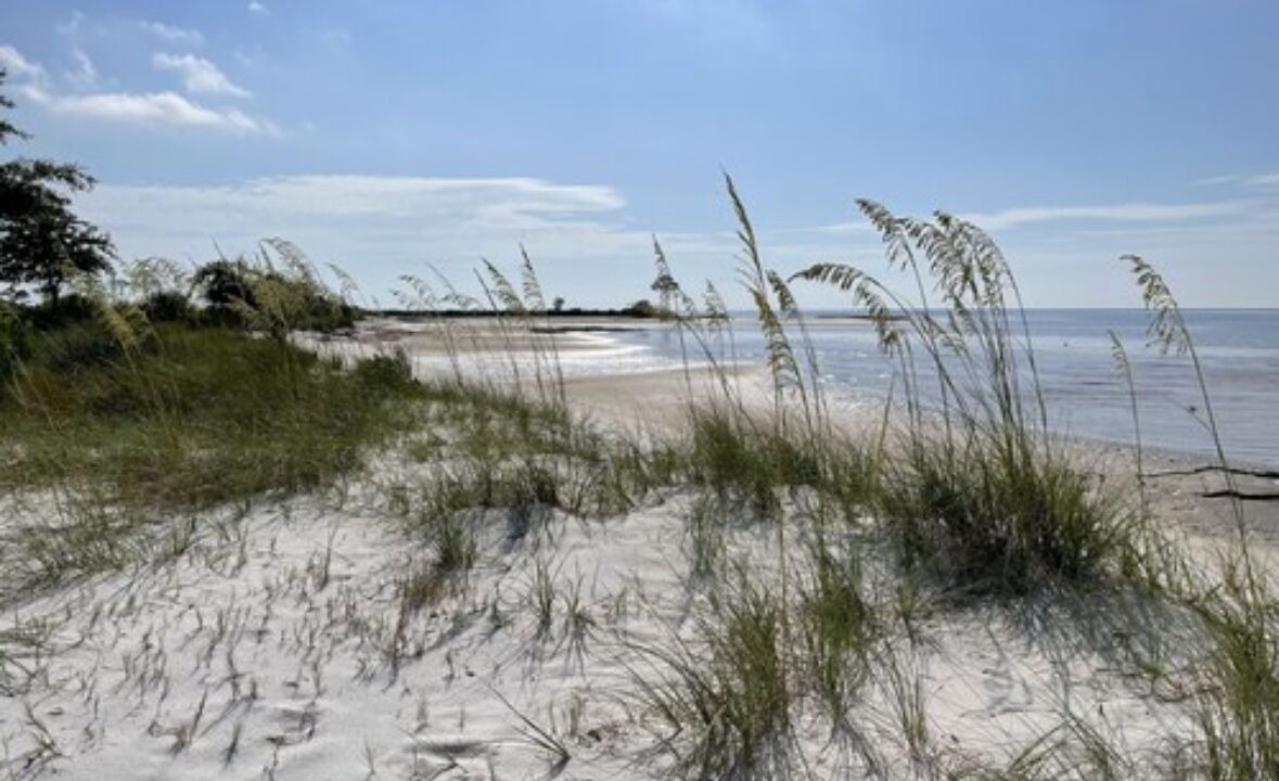 Photo of Others in Panacea