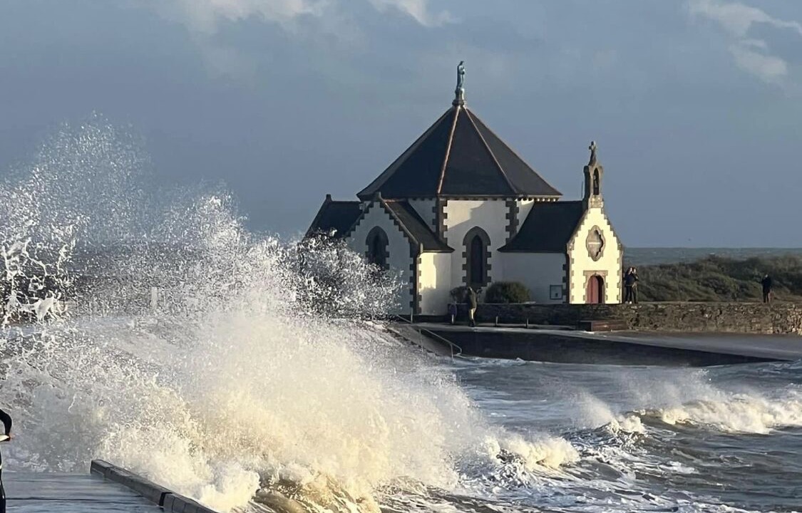 Photo of Others in Penvins