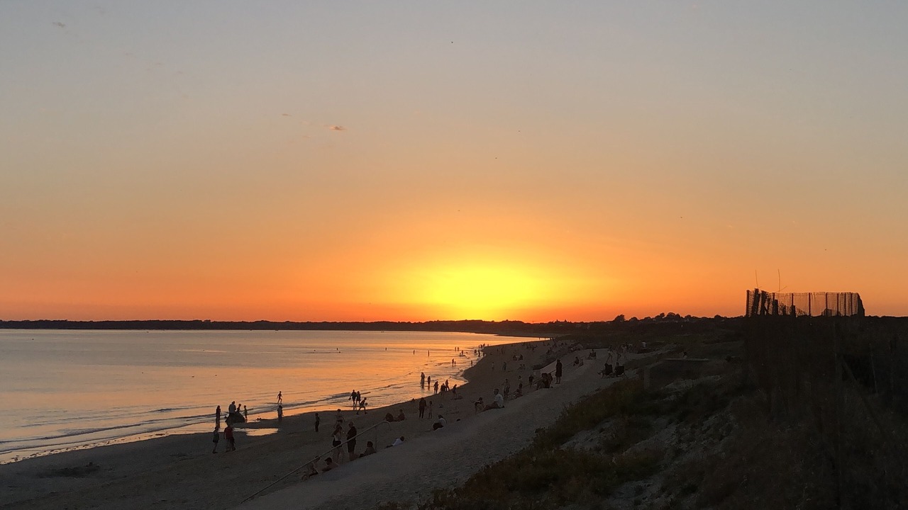 Photo of Others in Penvins