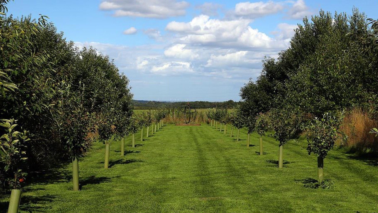 Photo of Outdoor in Faversham