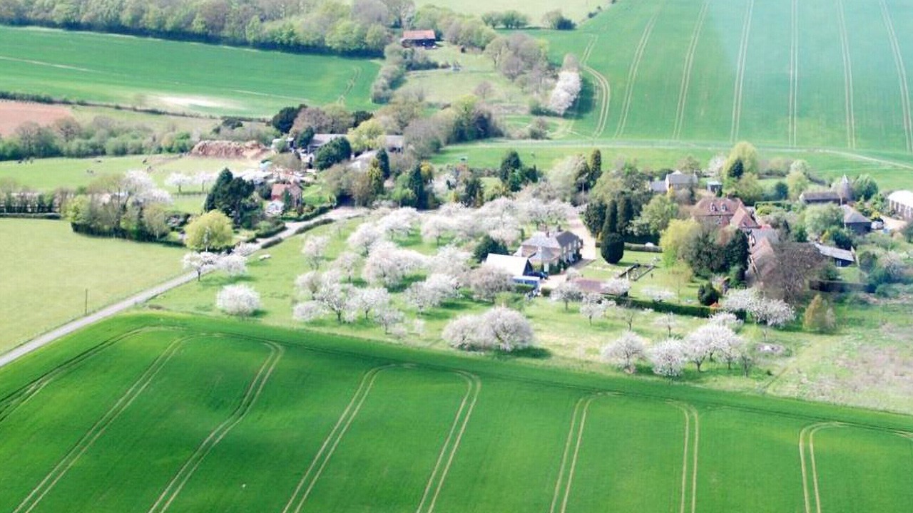 Photo of Others in Faversham