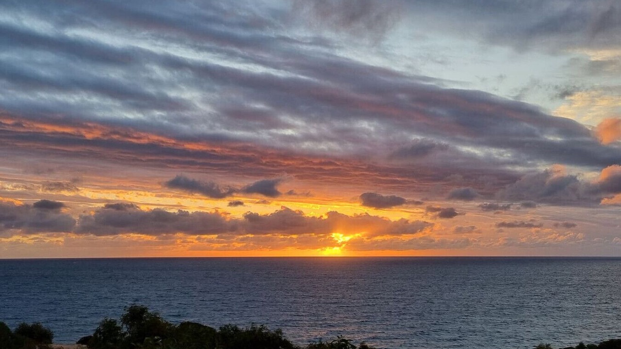 Photo of Others in Hallett Cove
