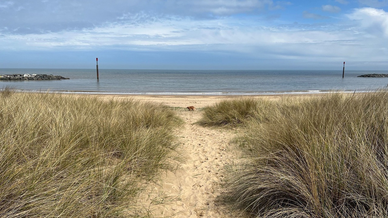 Photo of Others in Sea Palling