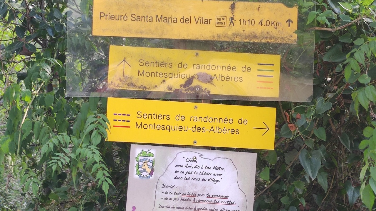 Photo of Outdoor in Montesquieu-des-Alberes