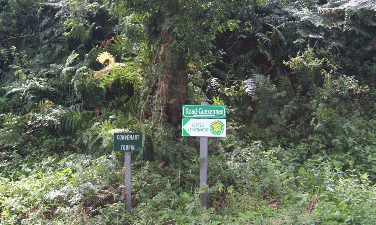 Photo of Outdoor in Langoat