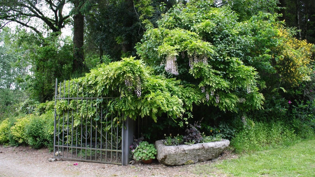 Photo of Outdoor in Canihuel