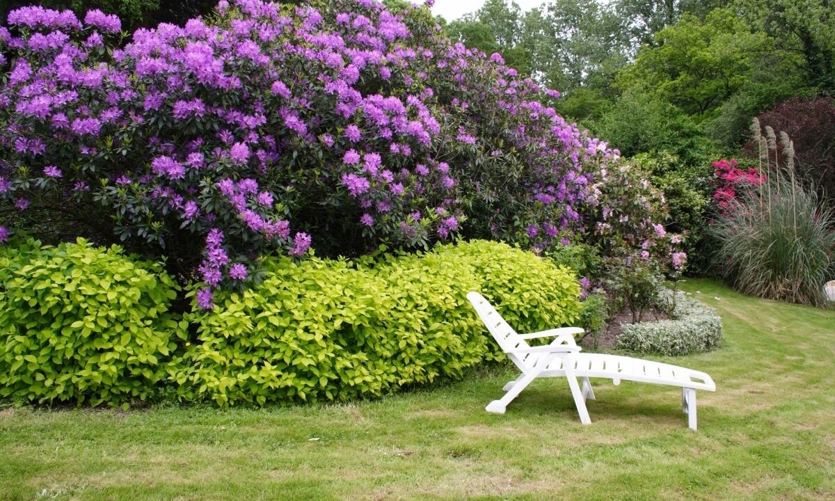 Photo of Outdoor in Canihuel