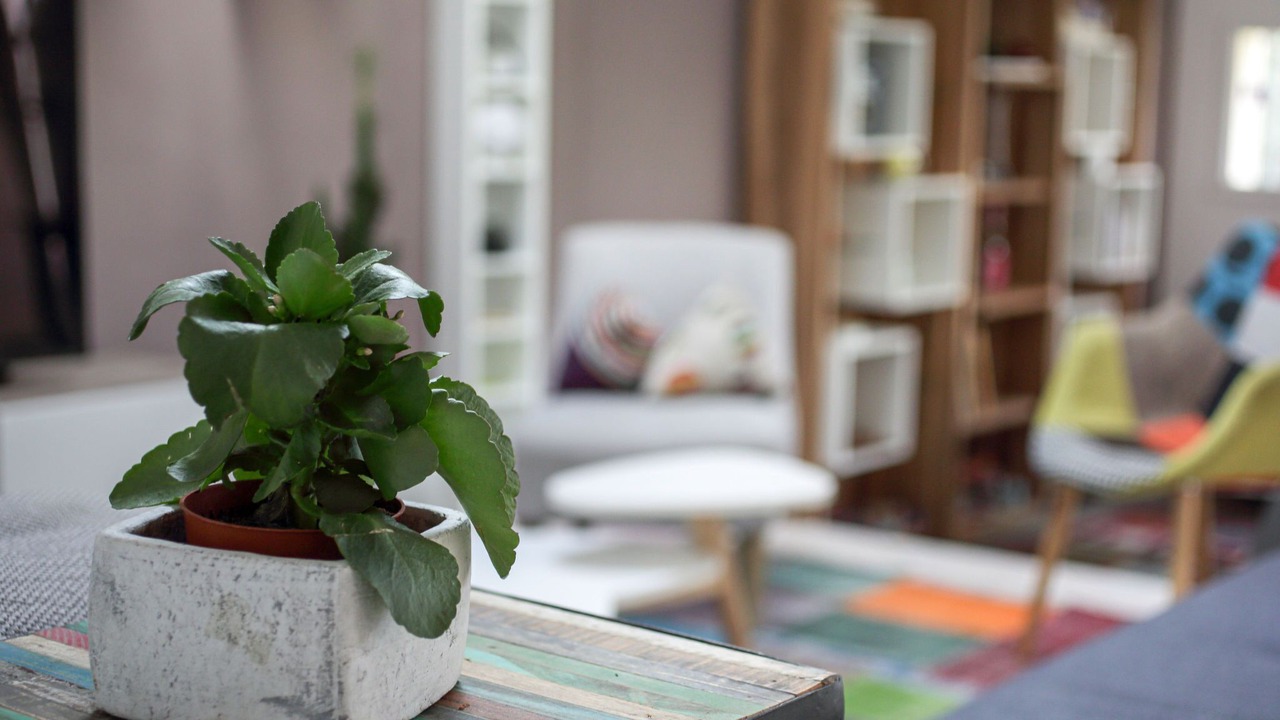 Photo of Livingroom in La Bernerie-en-Retz