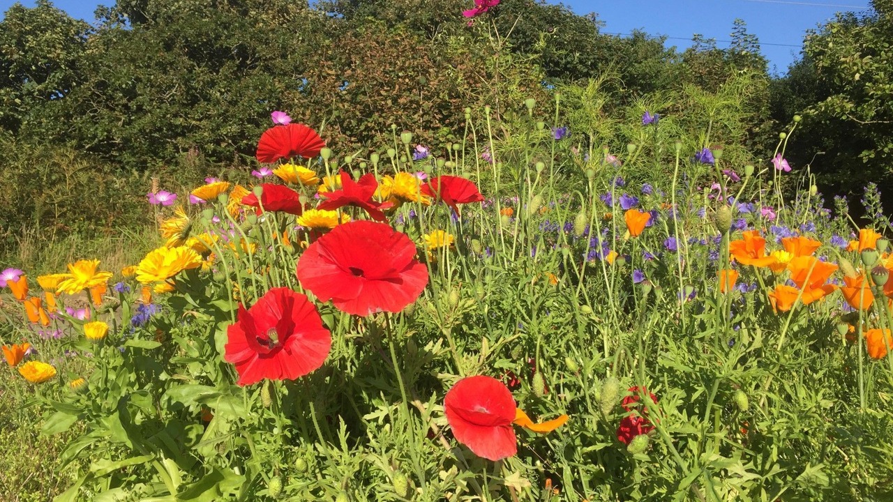 Photo of Outdoor in Hartland