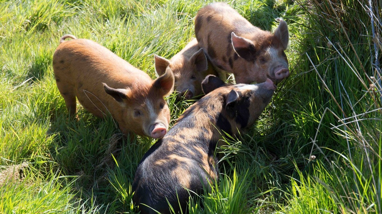 Photo of Outdoor in Hartland