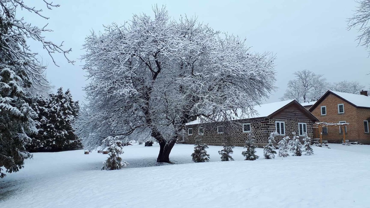 Photo of Outdoor in Elizabethtown-Kitley