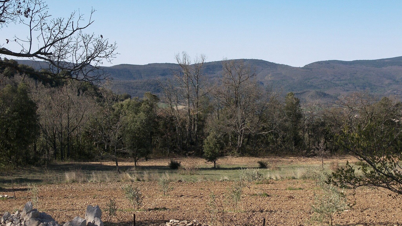 Photo of Others in Reillanne