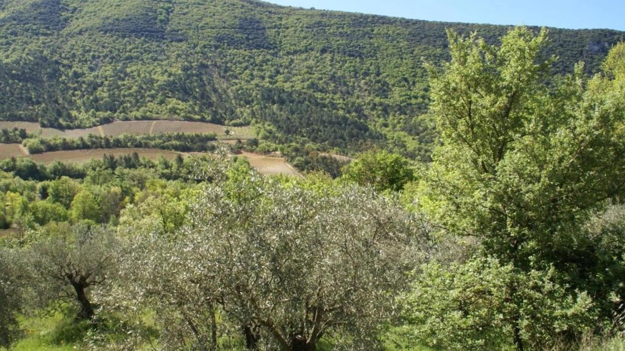 Photo of Others in Montbrun-les-Bains