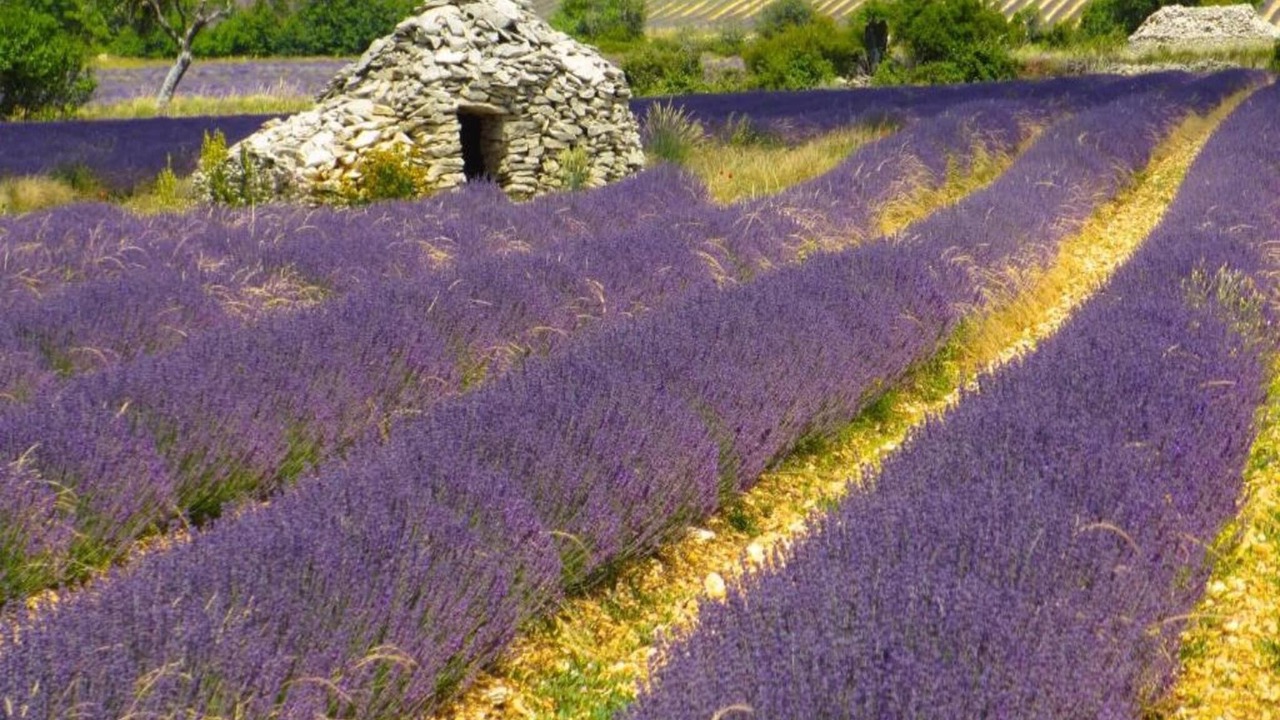Photo of Others in Montbrun-les-Bains