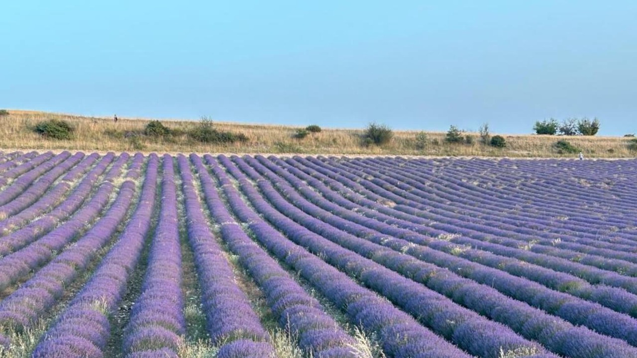 Photo of Others in Montbrun-les-Bains