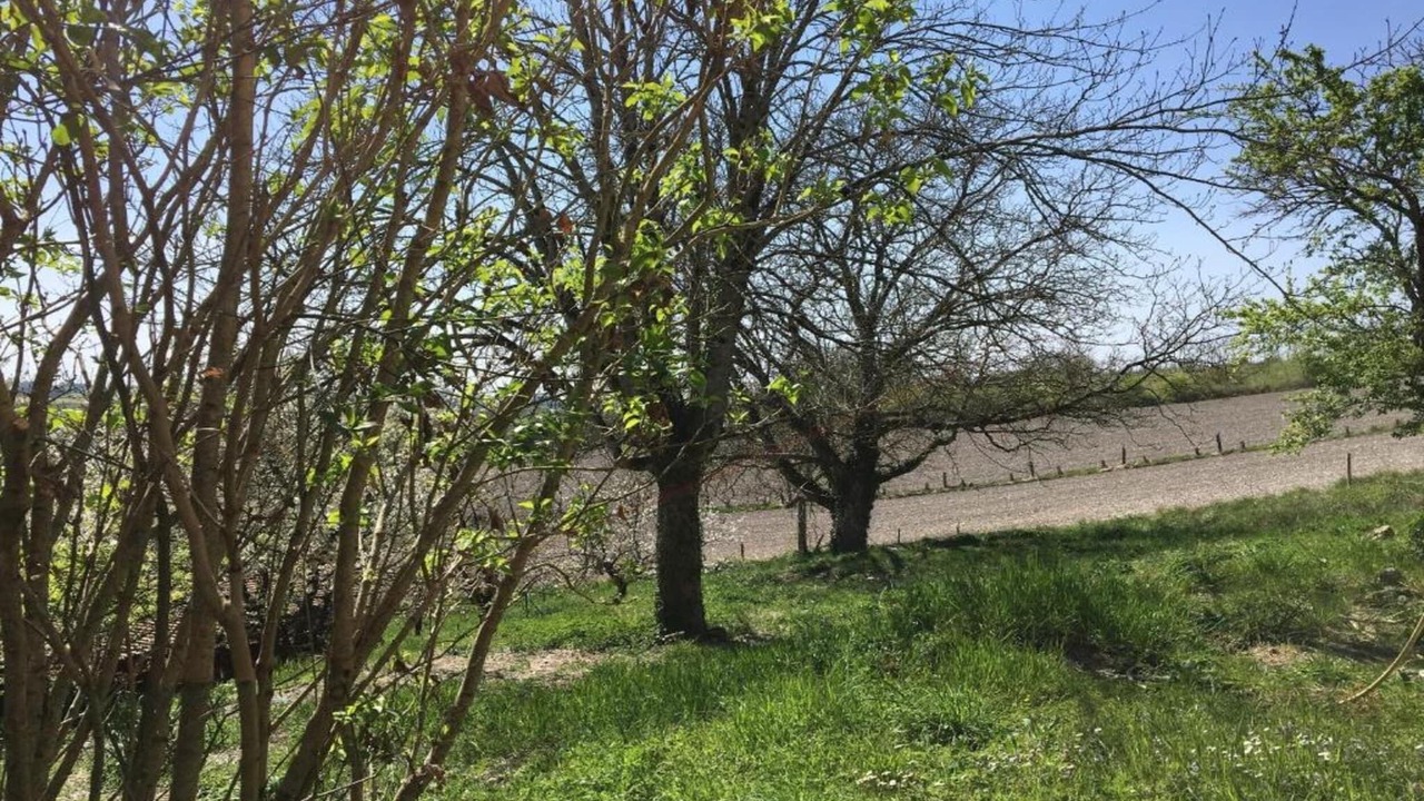 Photo of Others in Chalais