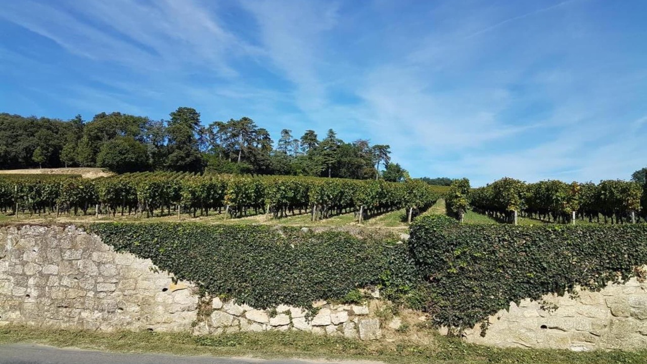 Photo of Others in Chalais