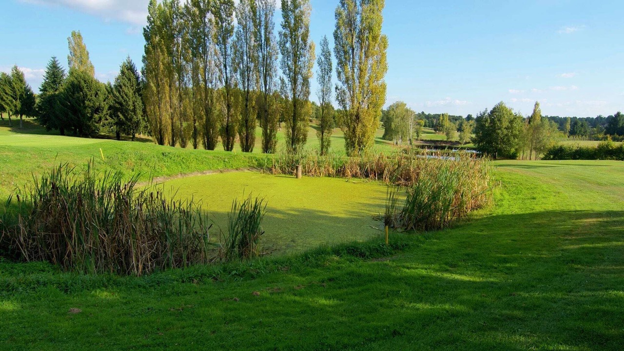 Photo of Others in Roussines