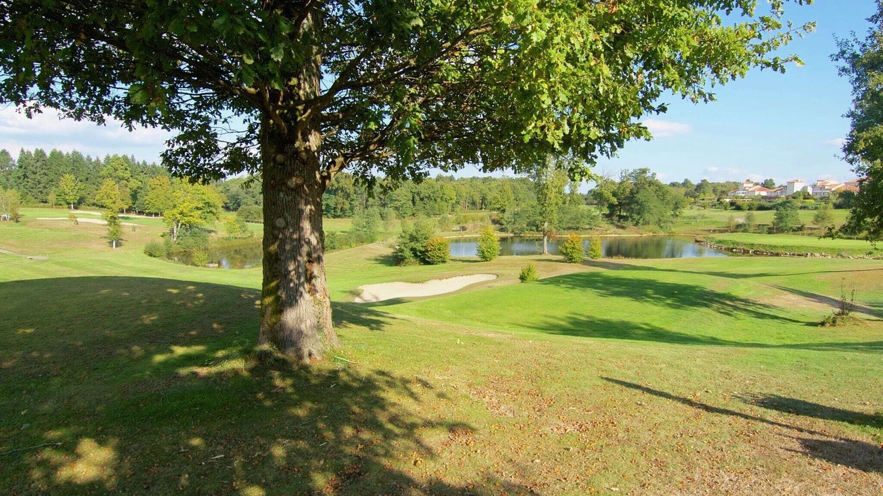 Photo of Others in Roussines