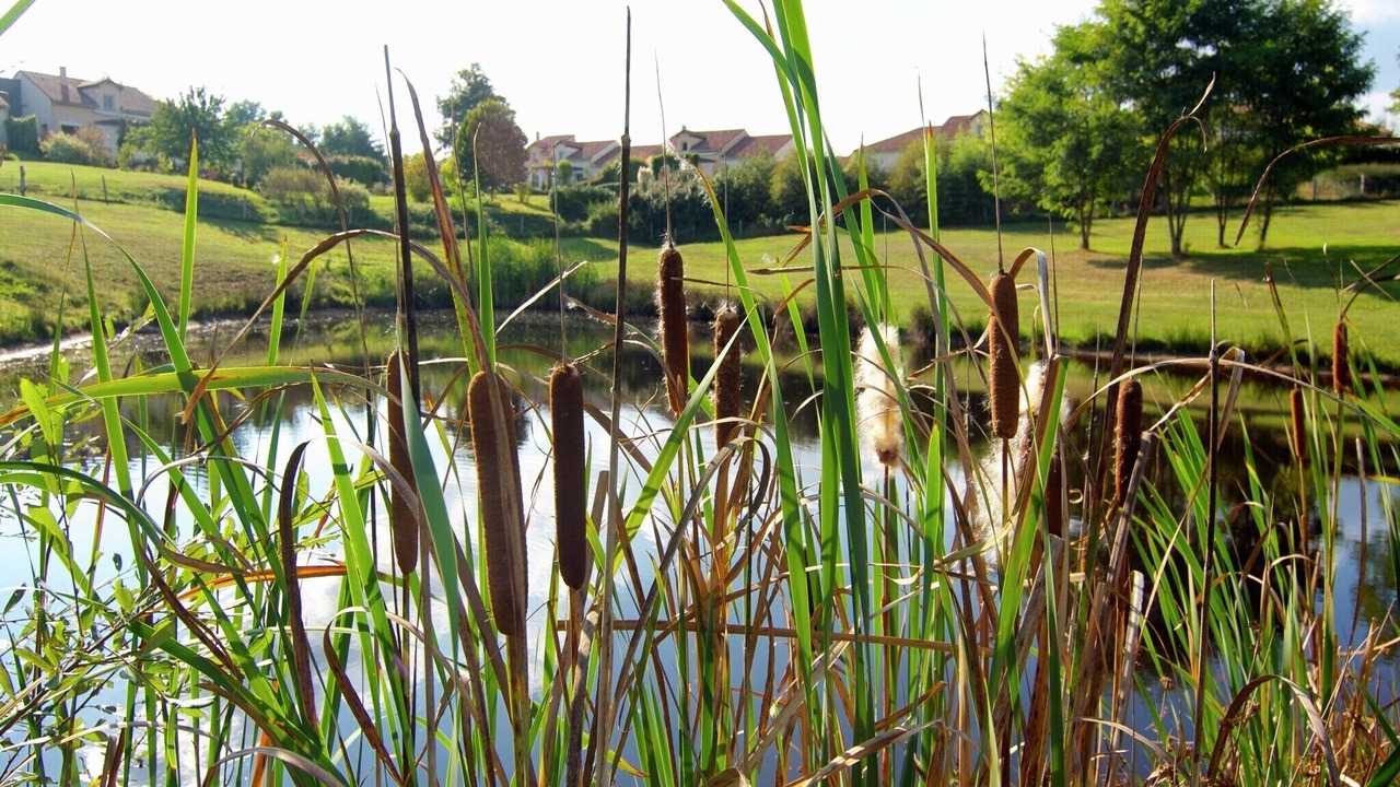 Photo of Others in Roussines