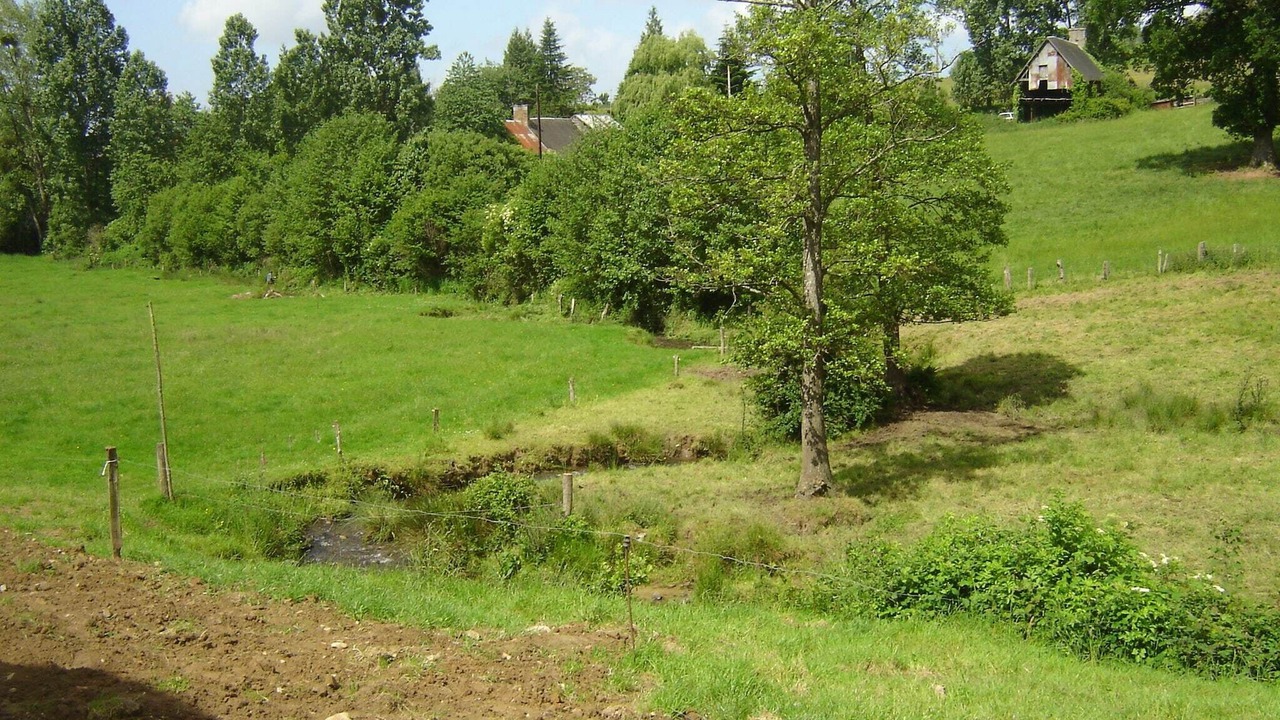 Photo of Others in Isigny-le-Buat