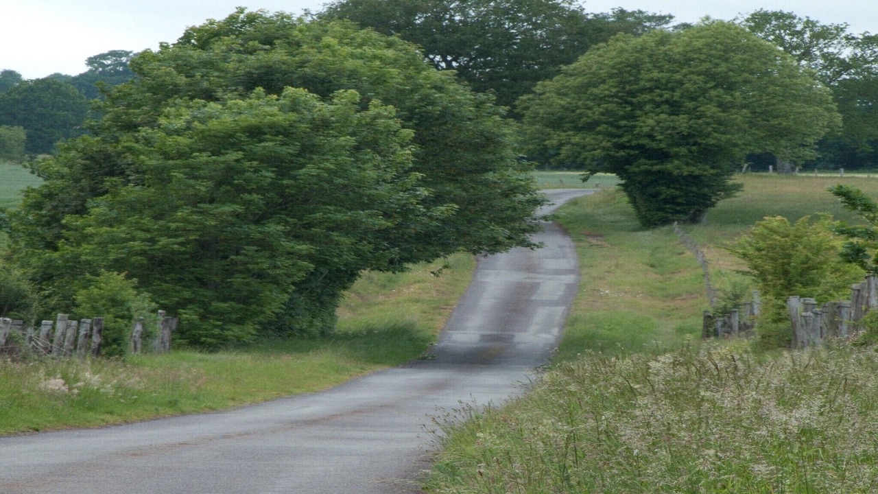 Photo of Others in Ceauce