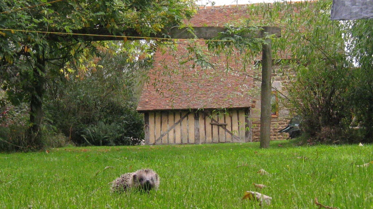 Photo of Others in Ceauce