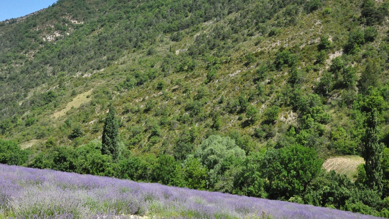 Photo of Others in Fayence