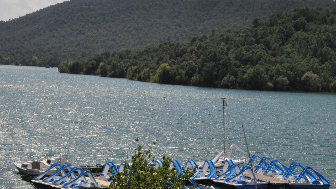 Photo of Others in Fayence