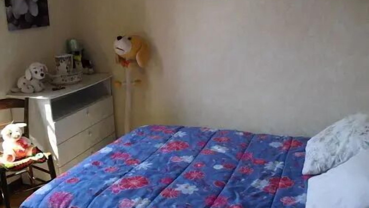 Photo of Bedroom in Sainte-Fortunade