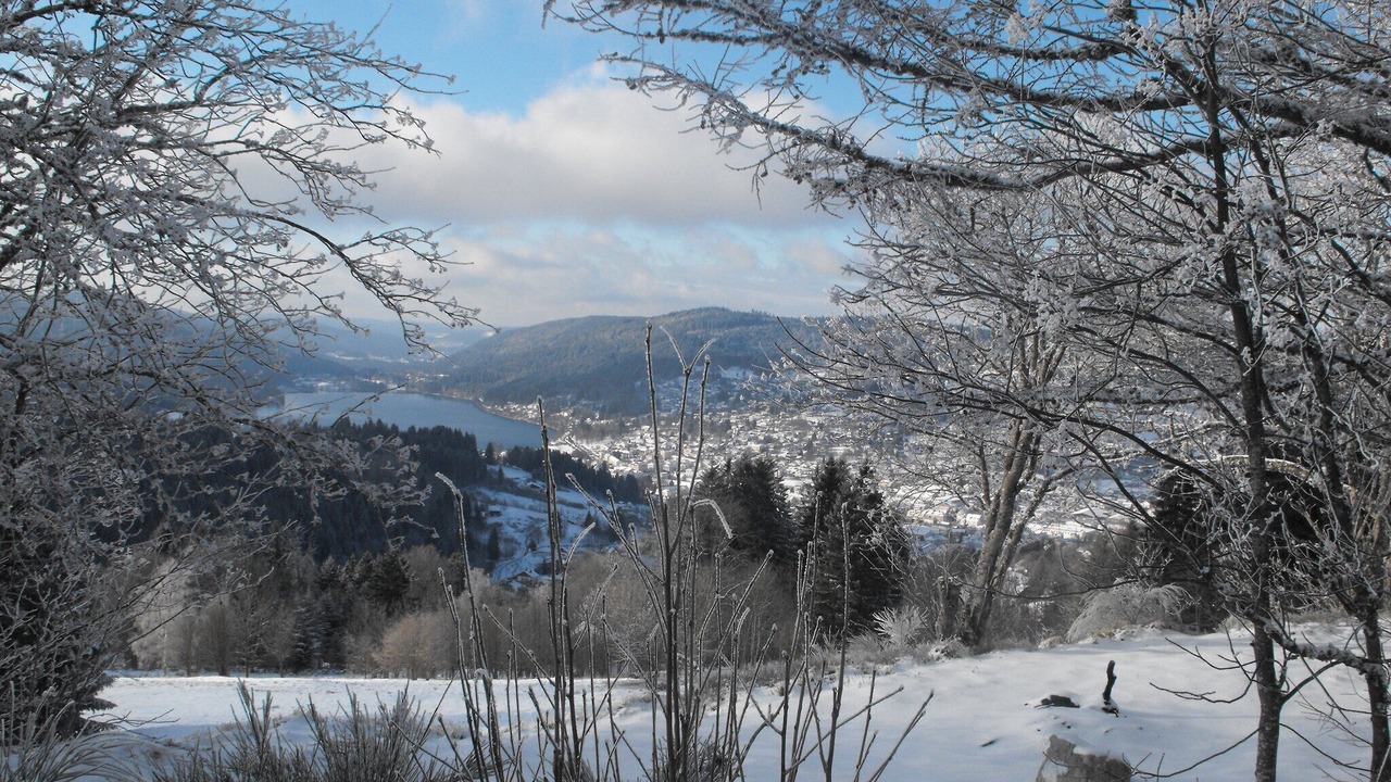 Photo of Others in Gerbepal