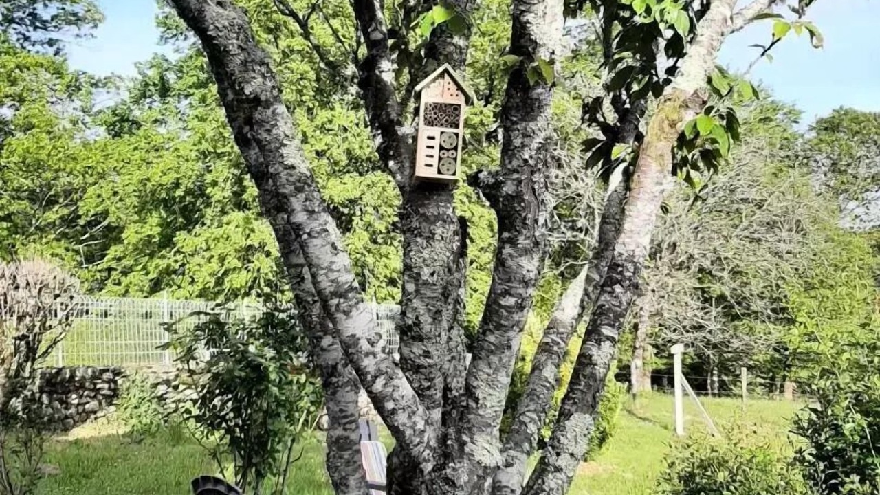 Photo of Outdoor in Gumond
