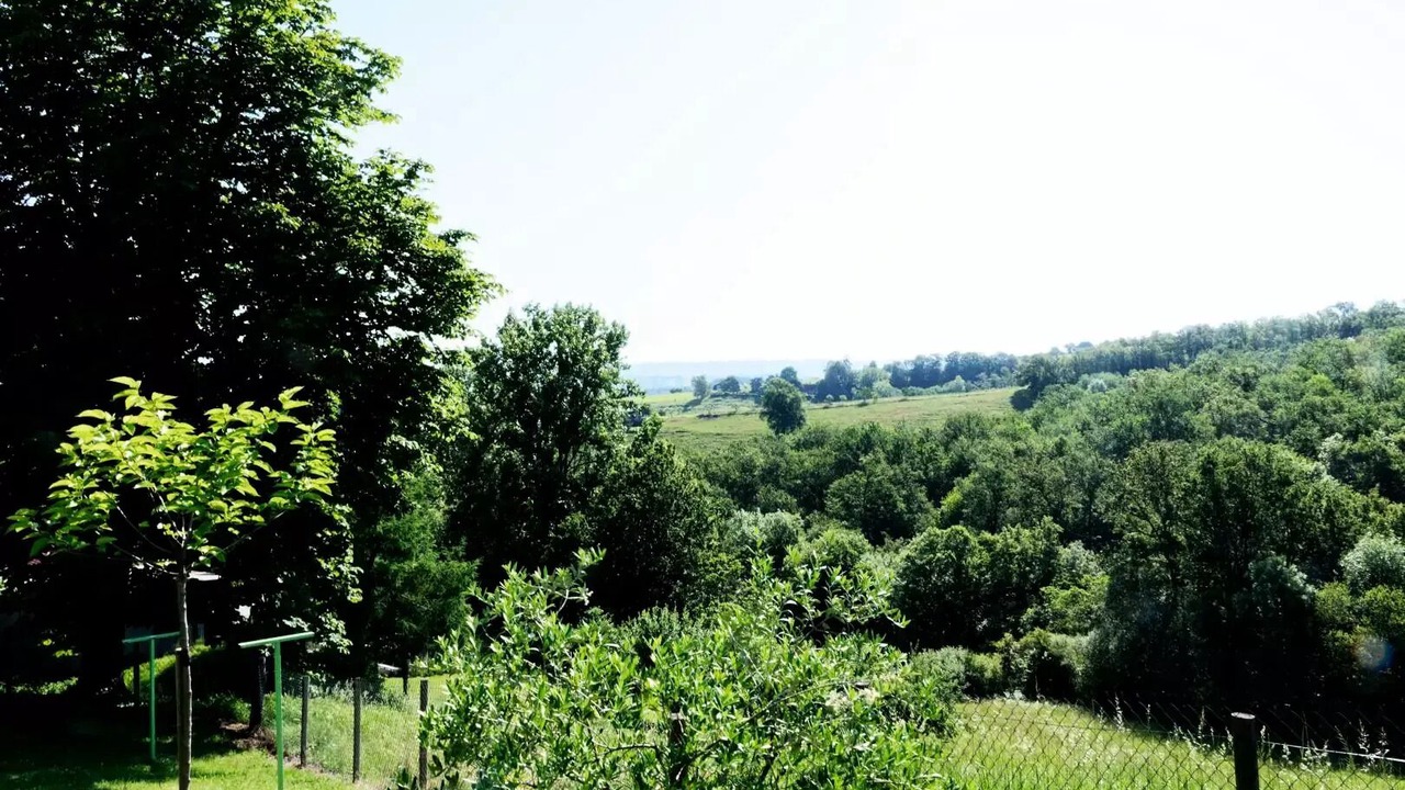 Photo of Outdoor in Saint-Cyprien
