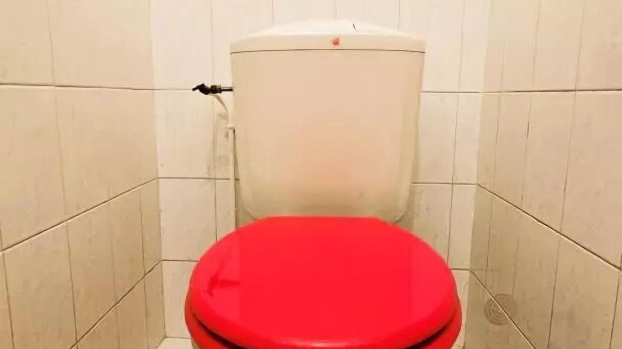 Photo of Bathroom in Saint-Martin-la-Meanne