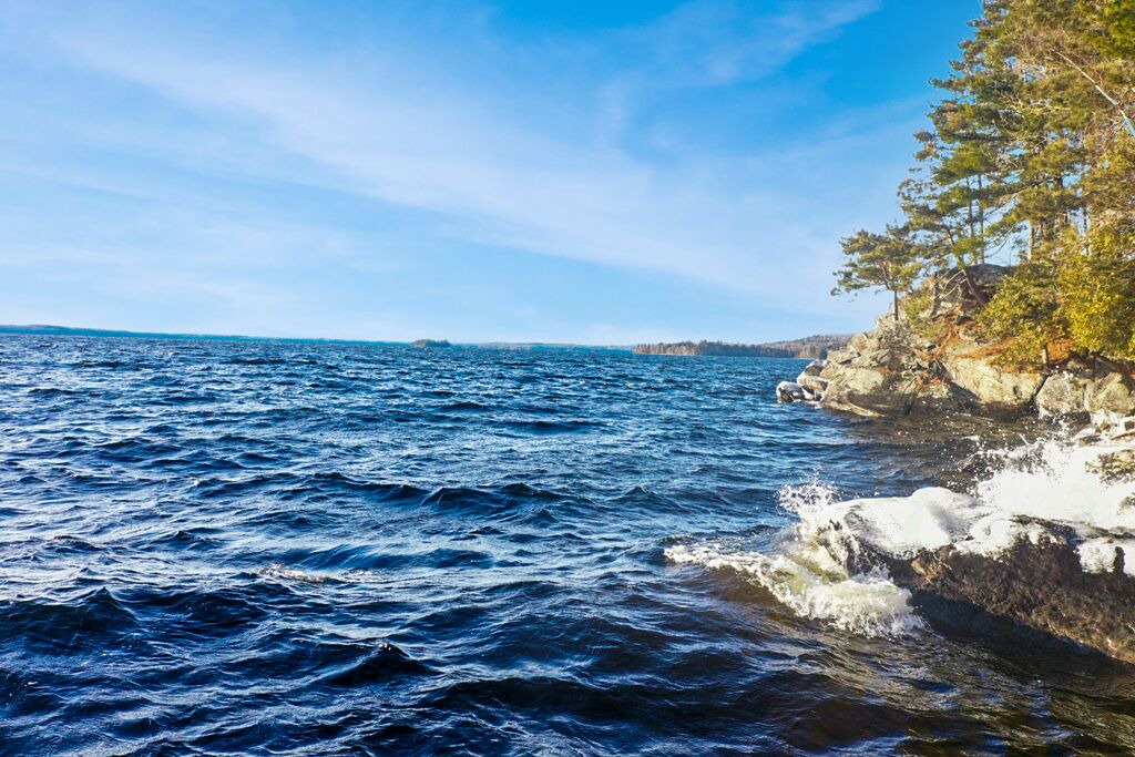 Photo of Others in Beaver Cove