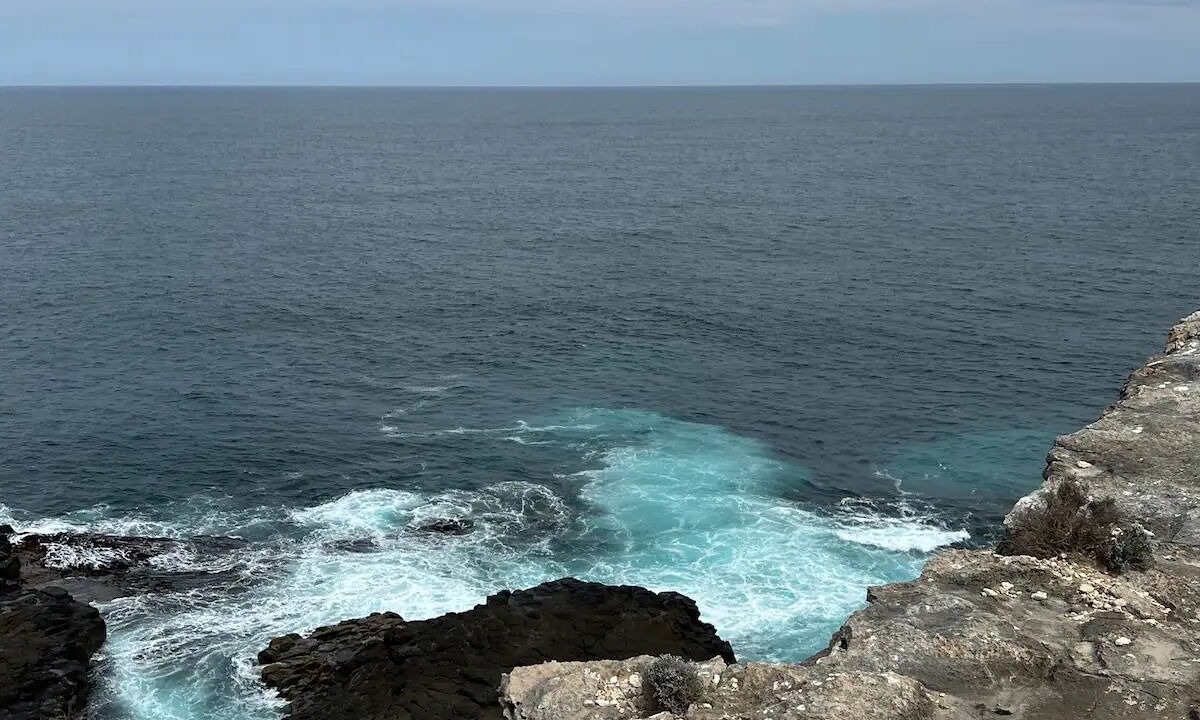 Photo of Others in Portland