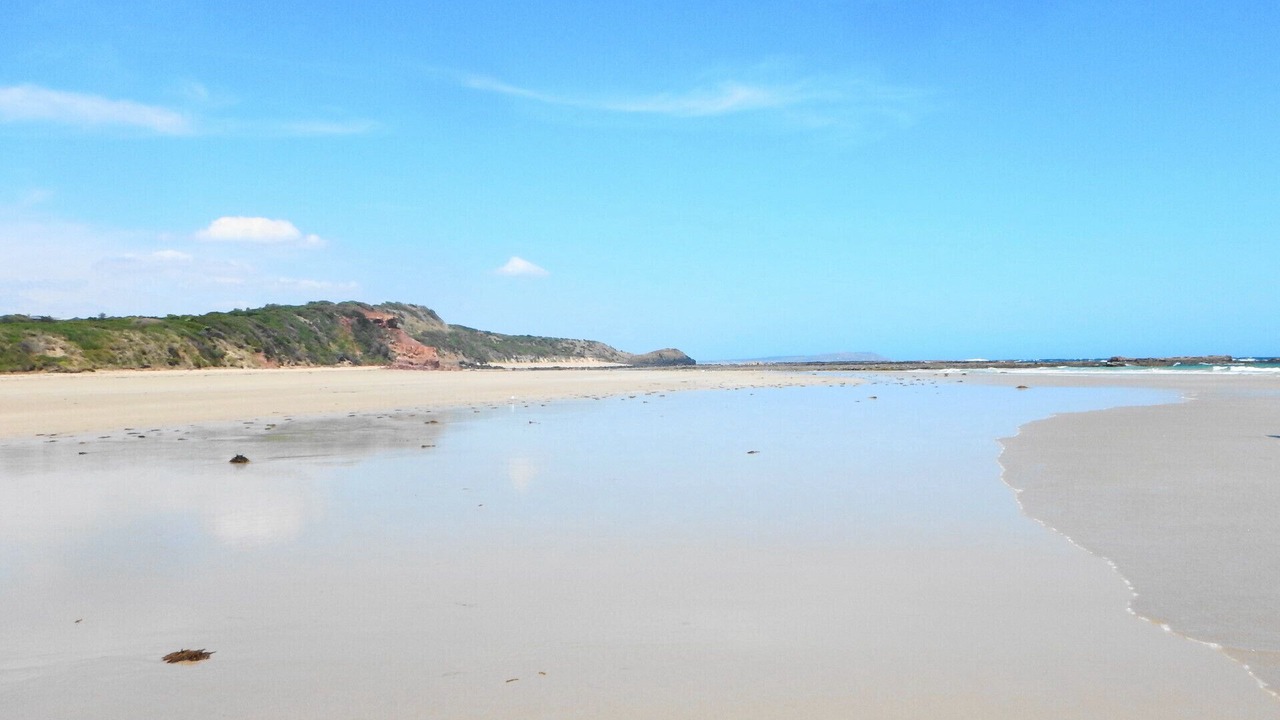 Photo of Others in Smiths Beach