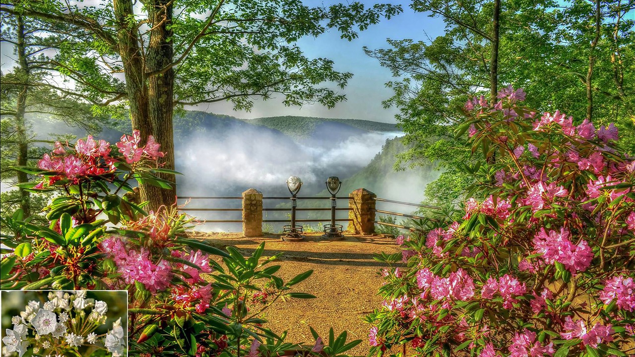 Photo of Others in Wellsboro