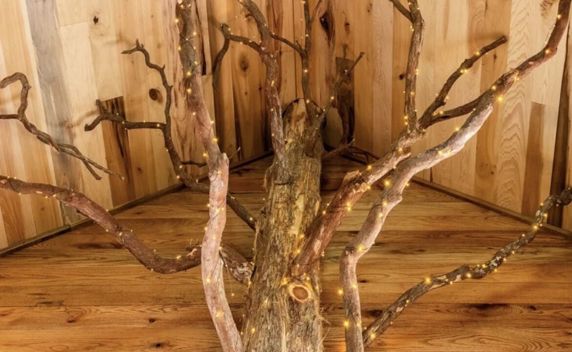 Photo of Others in Adairsville