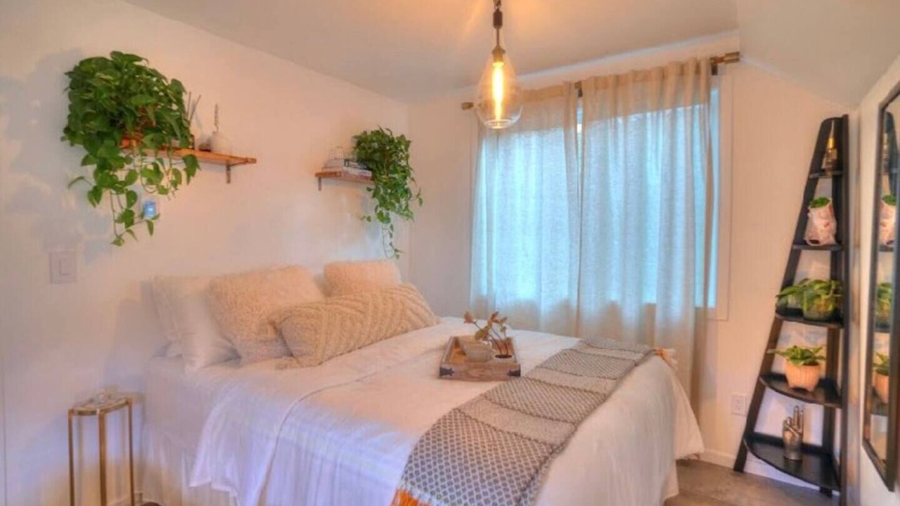 Photo of Others in Wedgwood